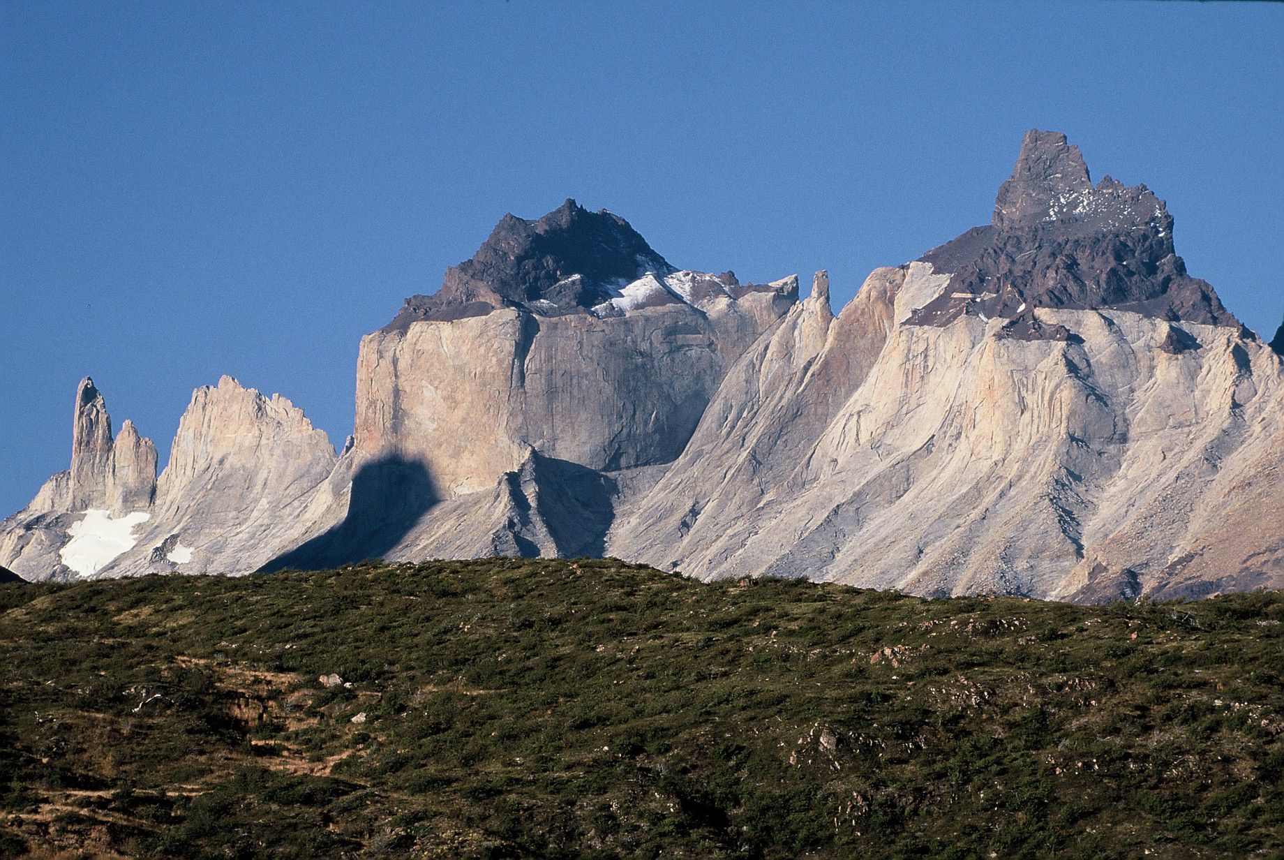 052-PatagonieCornes.JPG